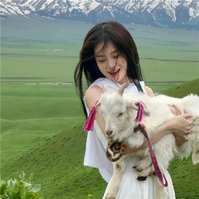 芭比与姐妹之赛马记